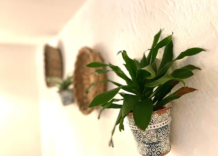 Casa Mia